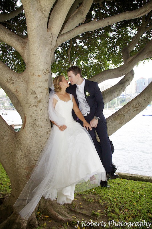 Bride and groom kissing in a tree - wedding photography sydney